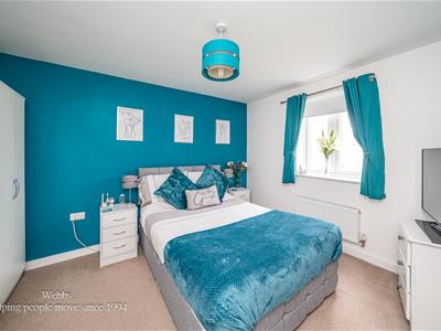 Picture 20